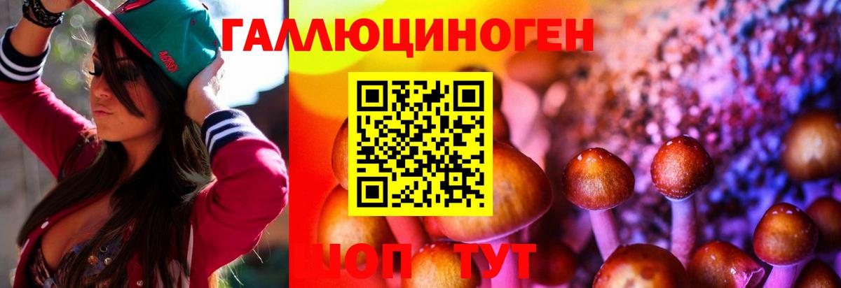 Псилоцибиновые грибы мухоморы Каменск-Уральский
